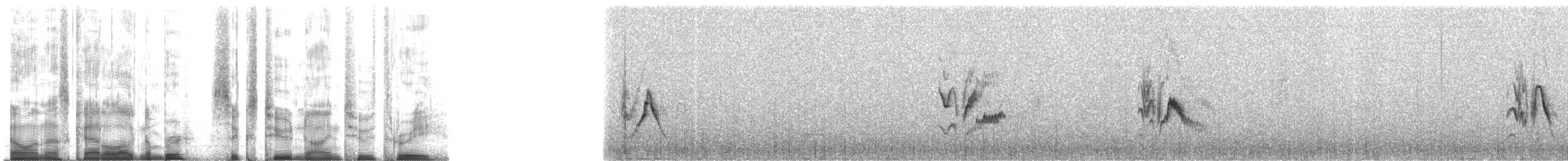 Plumbeous Vireo (Plumbeous) - ML62923