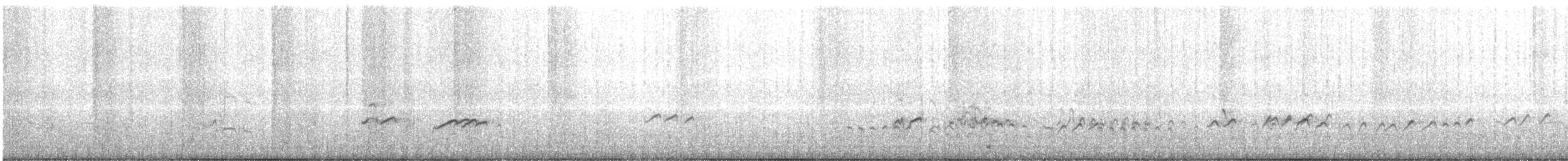 Terek Sandpiper - ML629231459