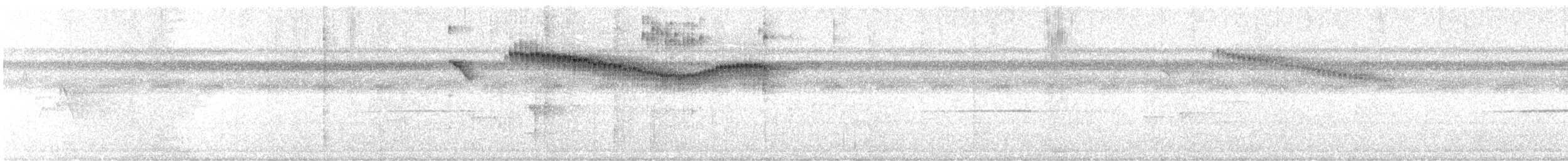 Golden-crowned Spadebill - ML629233453