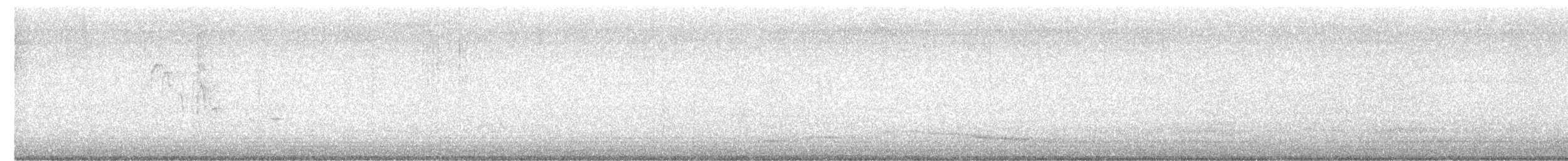 chickadee sp. - ML629233546