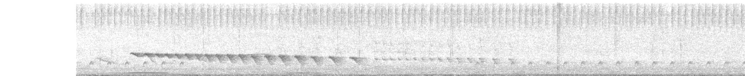 White-bellied Antbird - ML629233738