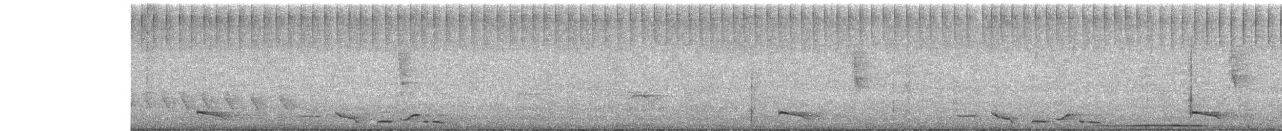 Black-bellied Wren - ML629234111