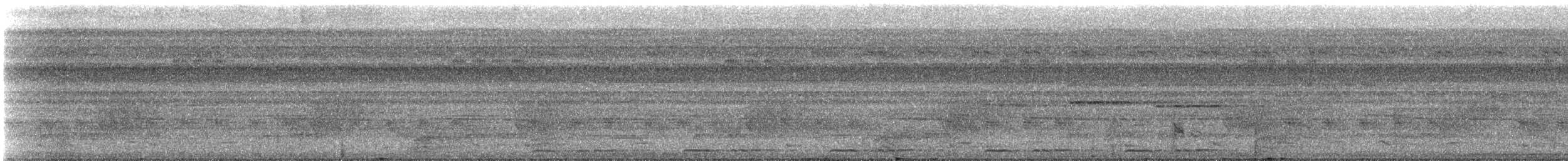 Marbled Wood-Quail - ML629236833