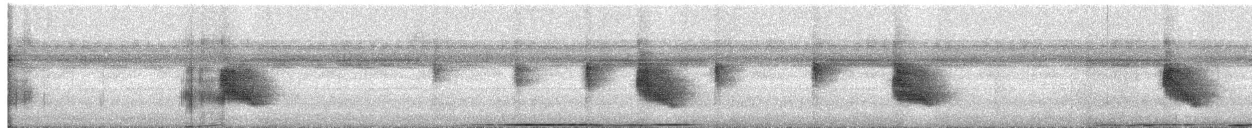 White-crowned Manakin - ML629244155