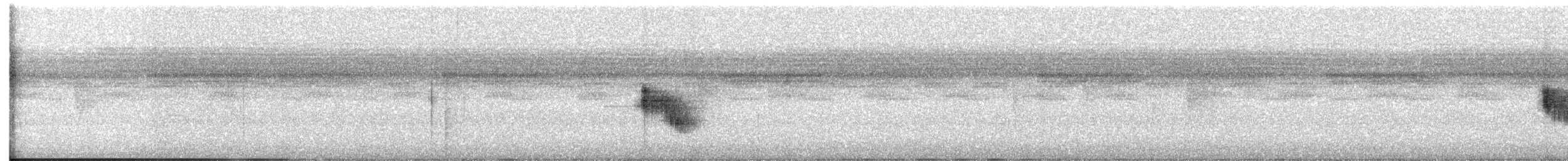 White-crowned Manakin - ML629244156