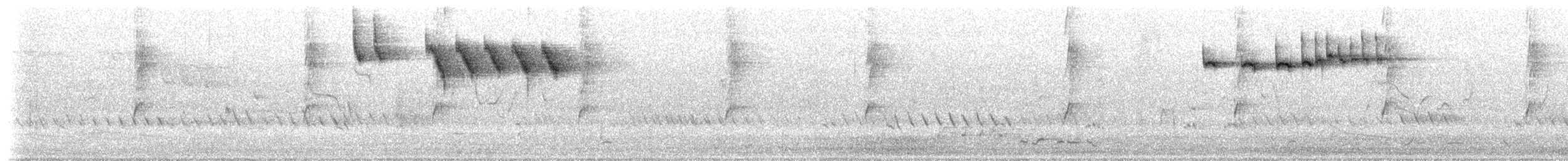 ノドジロセスジムシクイ - ML629245072