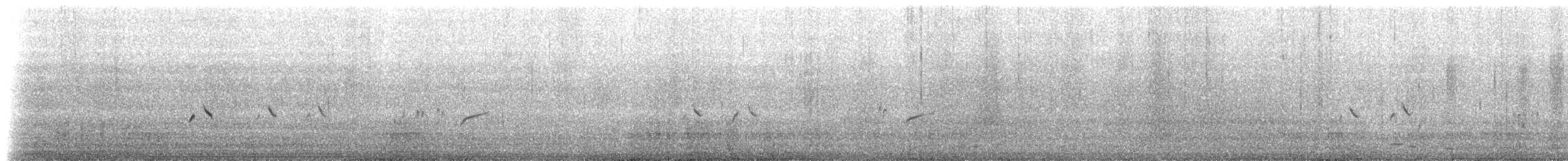 Rufous Fieldwren - ML629247881