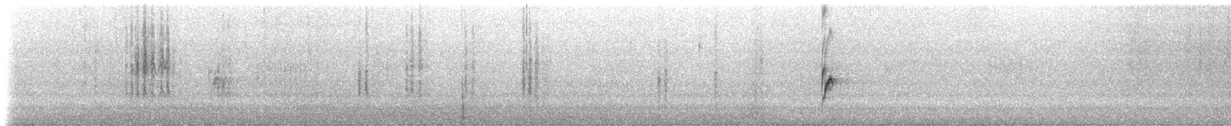 Brown Treecreeper - ML629247908