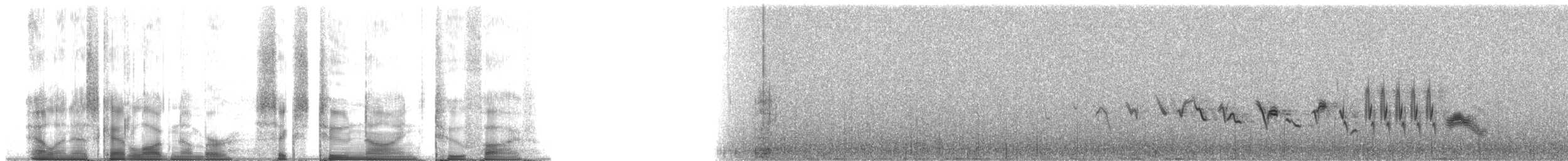 rosefinch sp. - ML62925