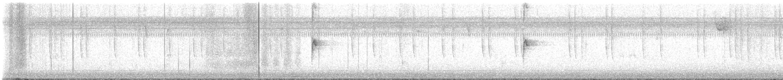 Broad-tailed Hummingbird - ML629256145