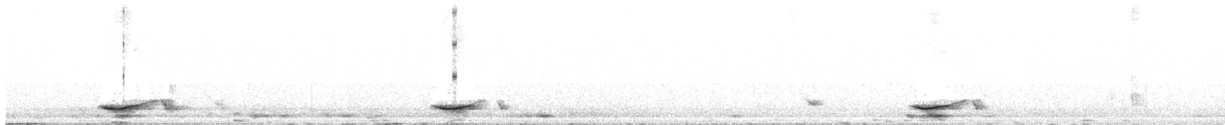 White-rumped Falcon - ML629256515