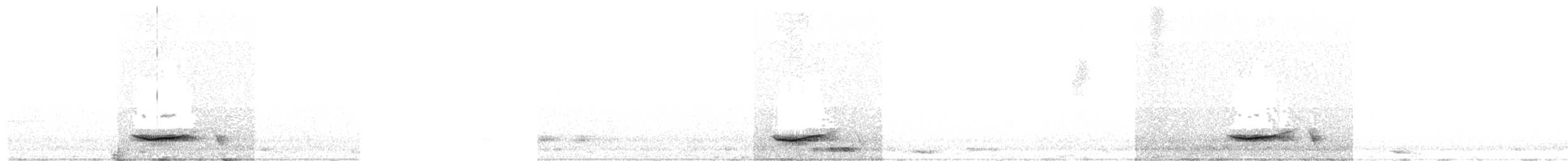 White-rumped Falcon - ML629256516