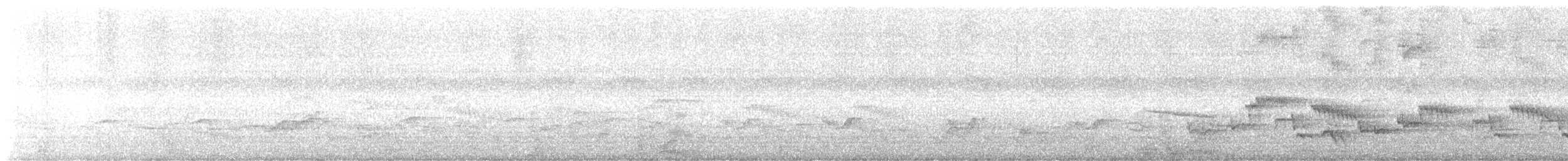 White-browed Robin-Chat