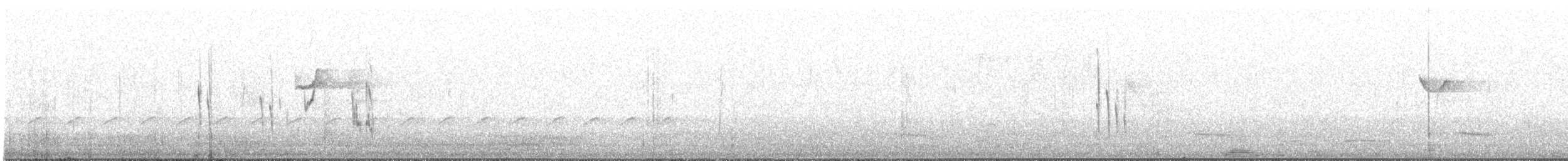White-banded Swallow - ML629256950