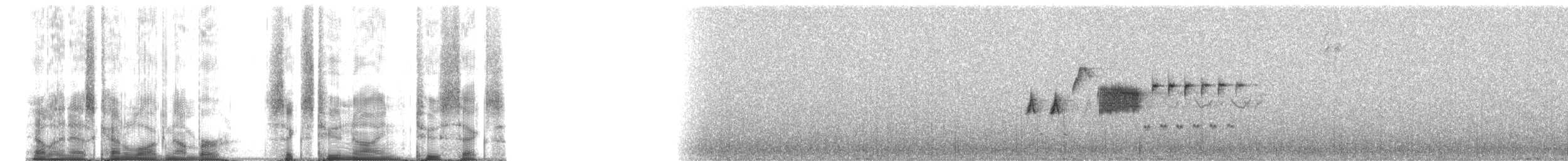 Bewick's Wren - ML62926