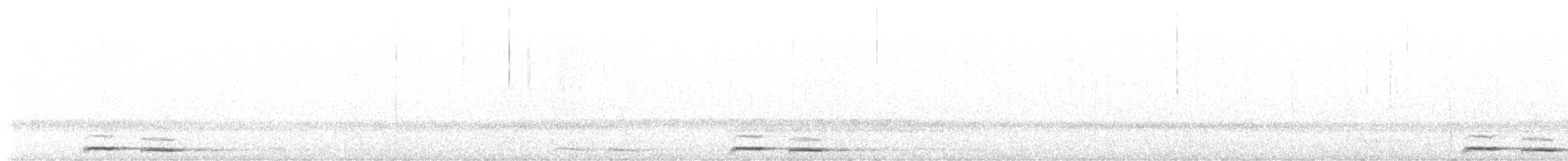 Tasmanian Boobook - ML629260519