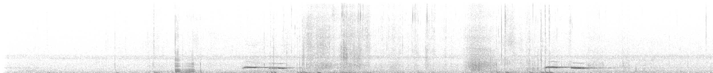 Tasmanian Boobook - ML629260520