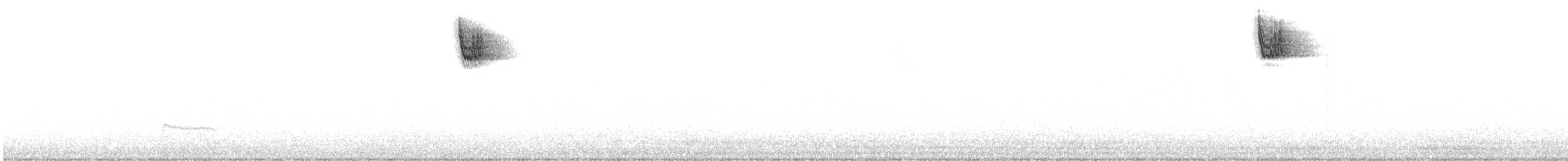 White-throated Sparrow - ML629263536