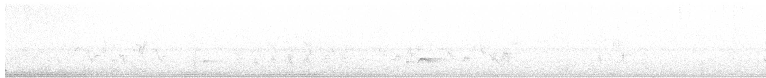 Ash-throated Flycatcher - ML629266253