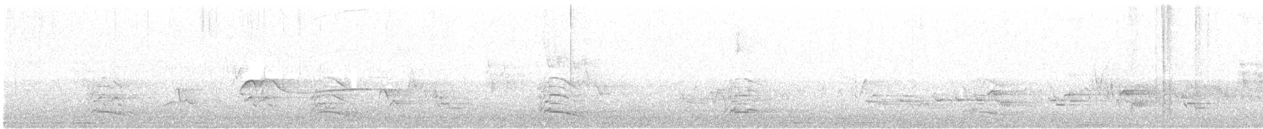 Eastern Wood-Pewee - ML629267236