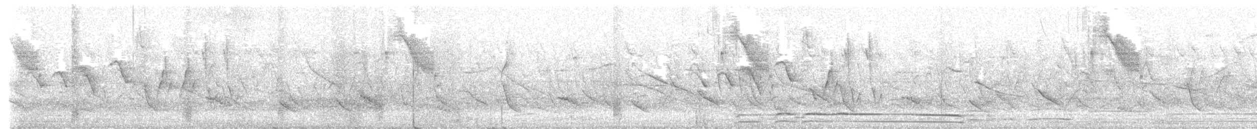 White-lined Tanager - ML629267491