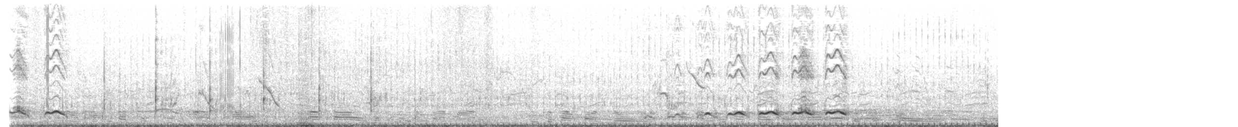 Asian Koel - ML629269831