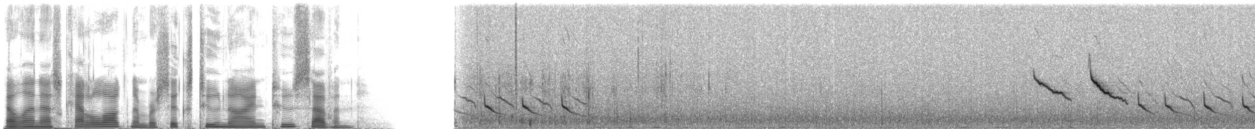 Rotkardinal - ML62927