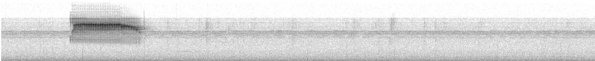 Spotted Barbtail - ML629274378
