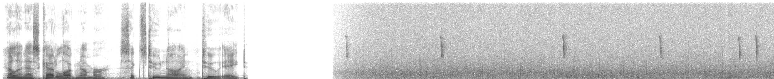 Black-throated Sparrow - ML62928