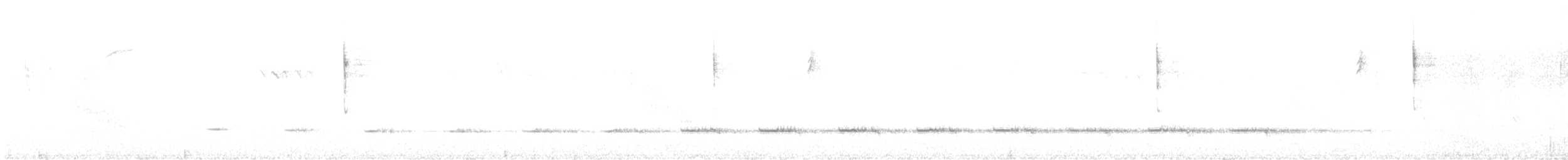 ミミキヌバネドリ - ML629283236