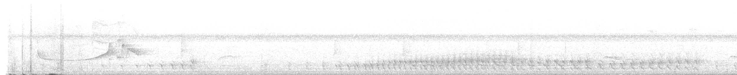 Trogon citrin - ML629284204
