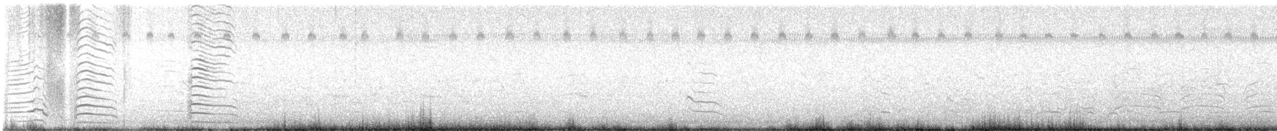 Laughing Gull - ML629285701