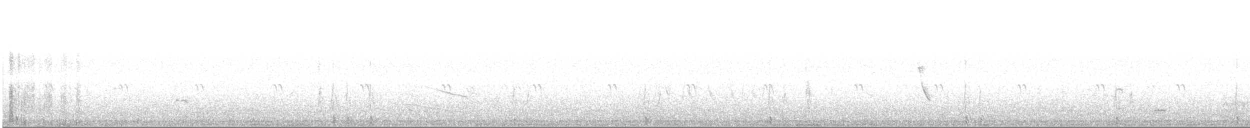 Red Shoveler - ML629294097