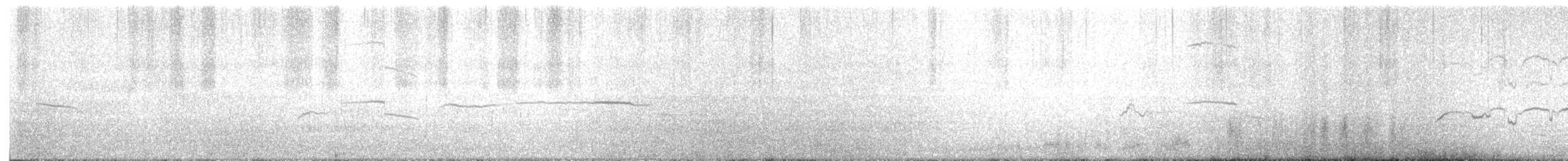 rybák velkozobý - ML629307789