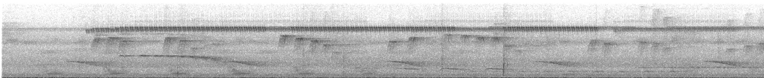 クロフイリコチュウハシ - ML629314398