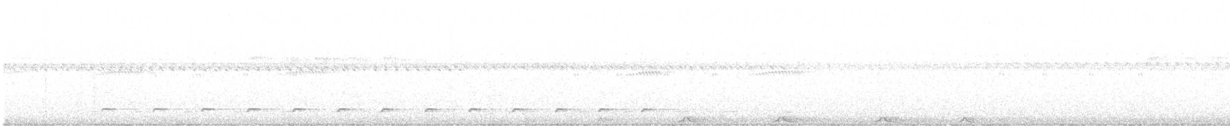 Colima Pygmy-Owl - ML629314927