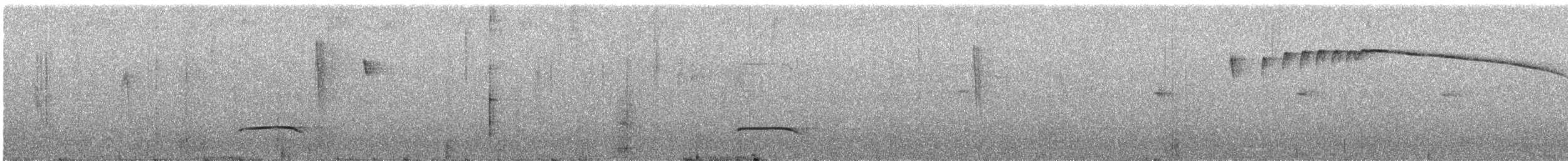 Streak-throated Bush-Tyrant - ML629315541