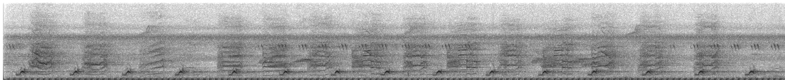 Langschwanzsittich - ML629319505