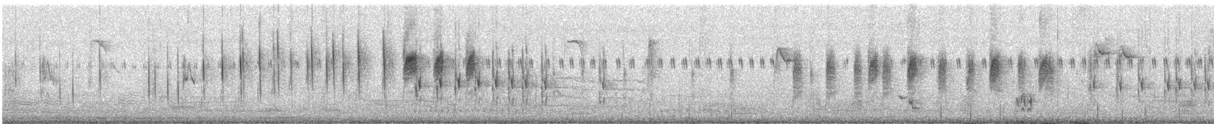 アジアマミハウチワドリ - ML629323299