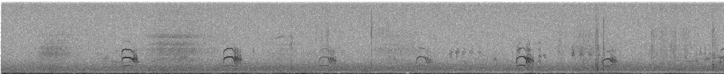 rybák jižní - ML629323608