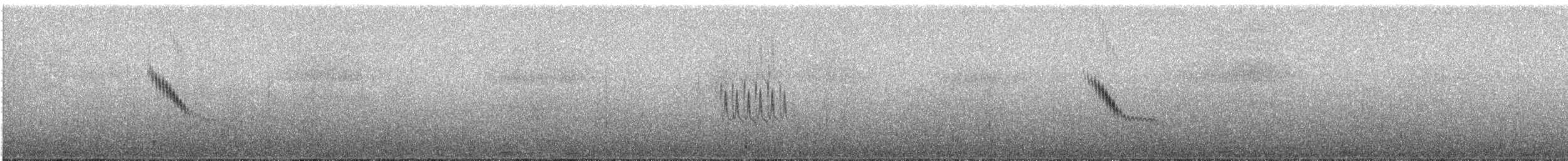 New Zealand Pipit - ML629323918