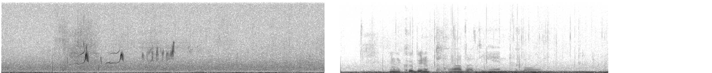 Double-banded Plover - ML629323923