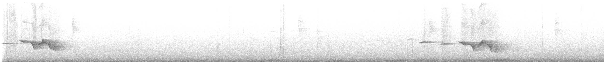 Gray-bellied Tesia - ML629329518