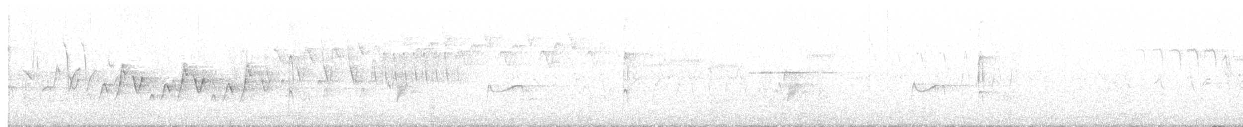 Yellow-bellied Flycatcher - ML629349488