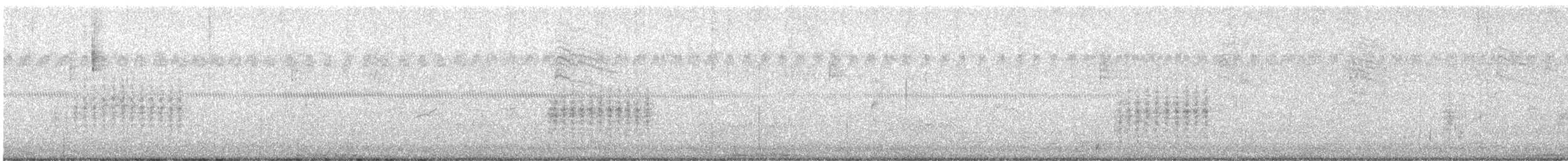 Northern House Wren - ML629354131