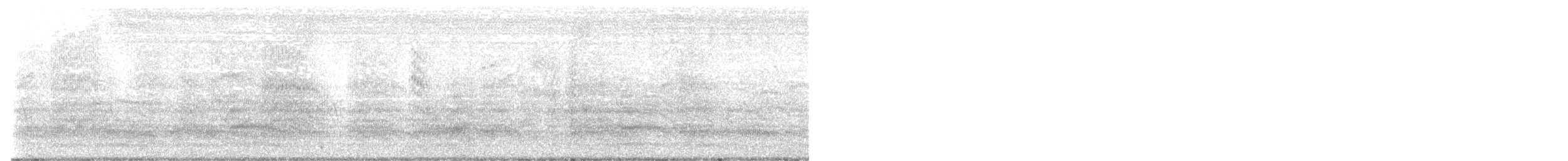 Black-billed Gull - ML629355831