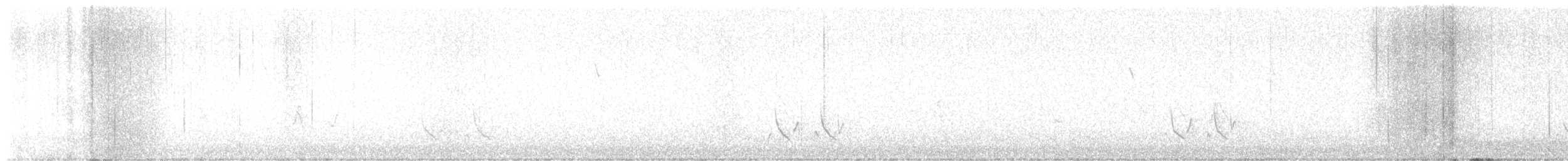 Crissal Thrasher - ML629356544