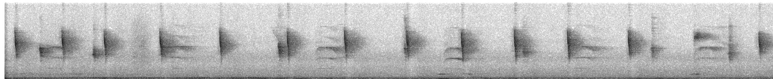 kentuckyparula - ML629363053