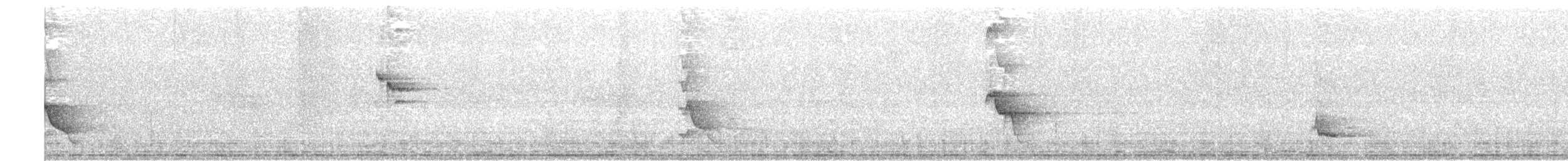 Pearly-eyed Thrasher - ML629367300