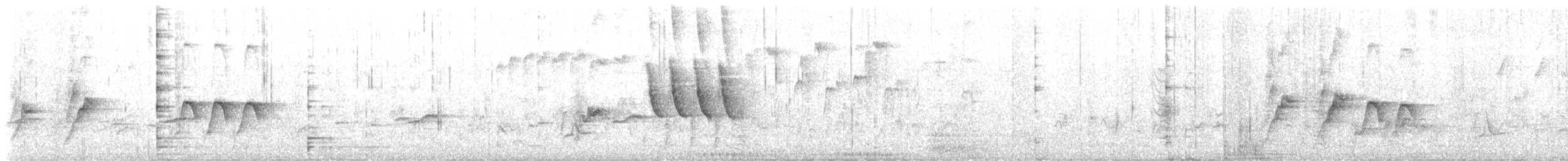 African Pied Wagtail - ML629368341